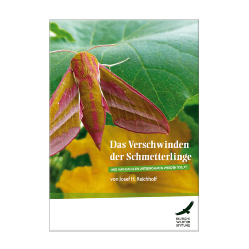 Das Verschwinden der Schmetterlinge