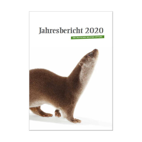 Jahresbericht 2020