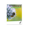 Wildbienen - schützen und fördern im Kleingarten