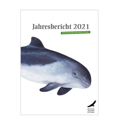 Jahresbericht 2021