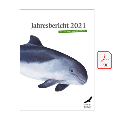 Cover Jahresbericht 2021 PDF