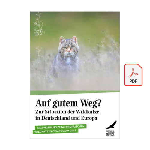 Cover TB Wildkatzensymposium 2021