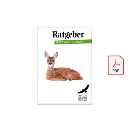 Ratgeber ERSTE WILDTIER-HILFE als PDF