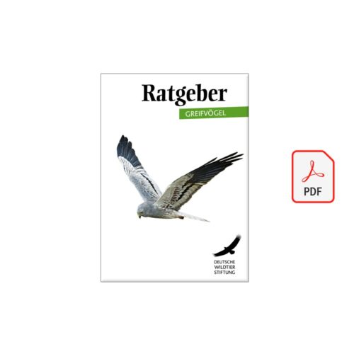 Ratgeber GREIFVÖGEL als PDF