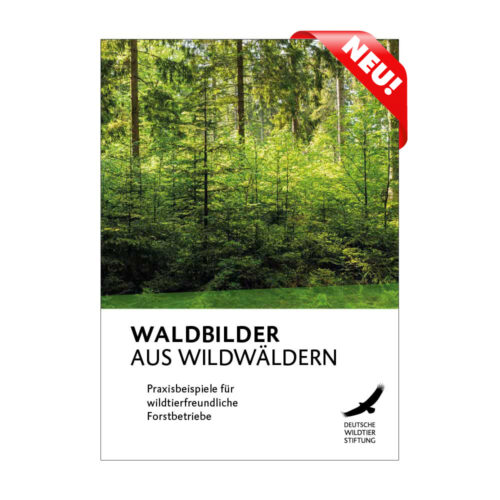 Cover Waldbilder aus Wildwäldern neu