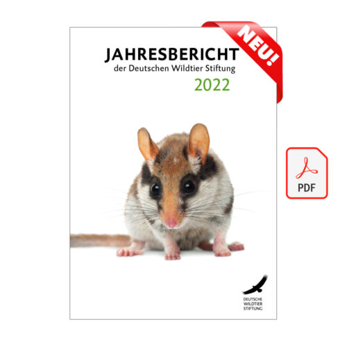 Cover Jahresbericht 2022 als PDF neu