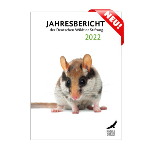 Cover Jahresbericht 2022 neu